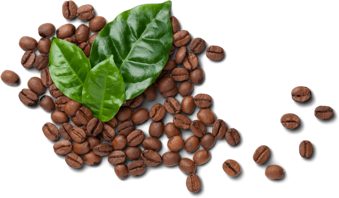 Saula Premium Original Coffee Beans - 100% Arabica Espresso Blend (2 x 17.6  Oz)