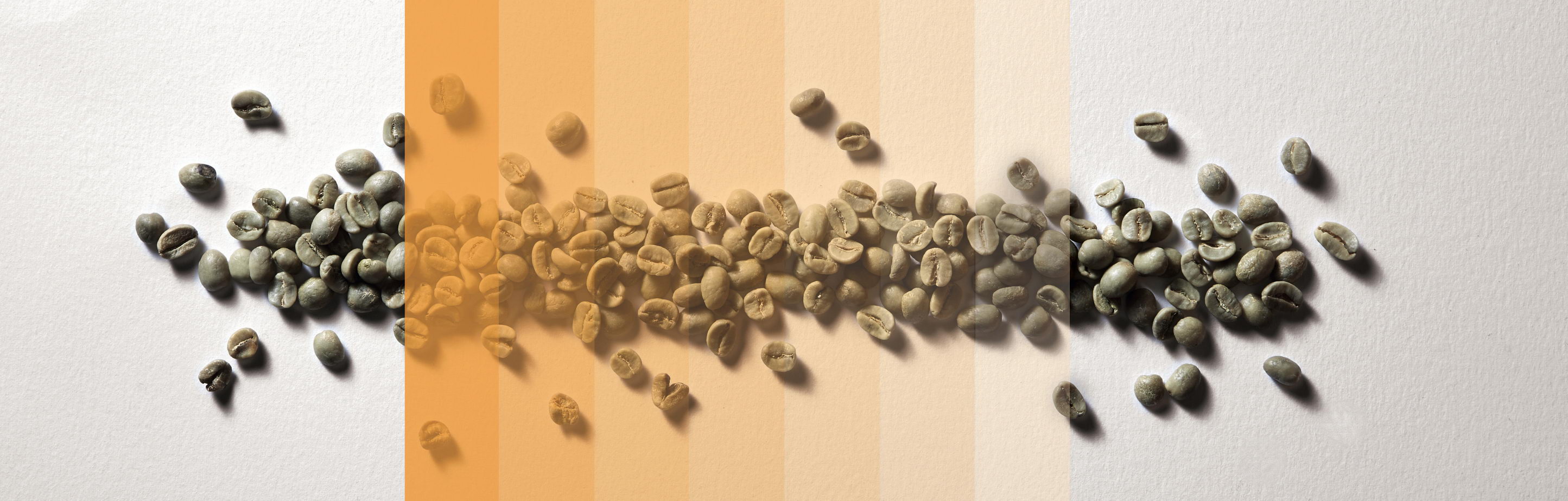 Granos de café en una mesa