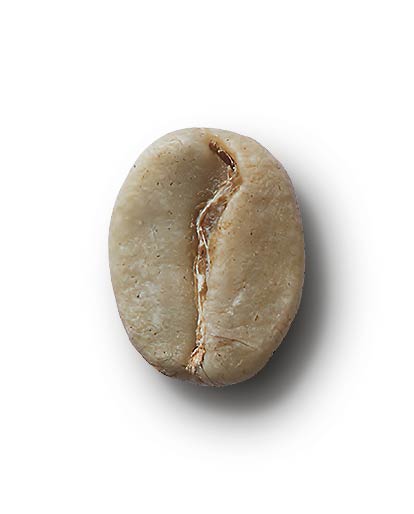 Grano de café