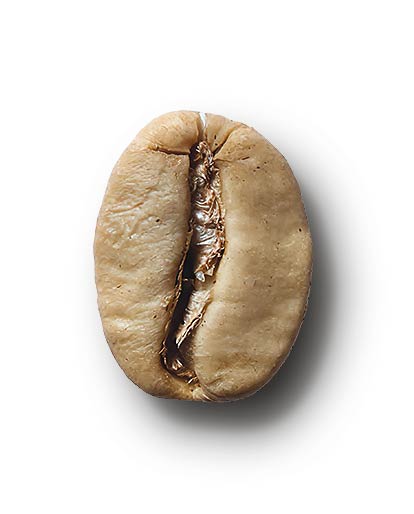 Saula Premium Granos de café Bourbon - Mezcla de  