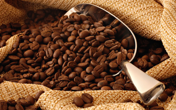 Tipos de café: Arábica e Robusta