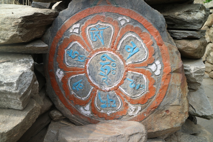 Visitem els cafetals salvatges del Nord de Nepal