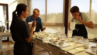 cafe saula