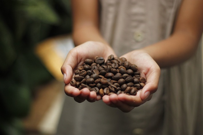De qué está compuesto un grano de café? | Blog Café Saula