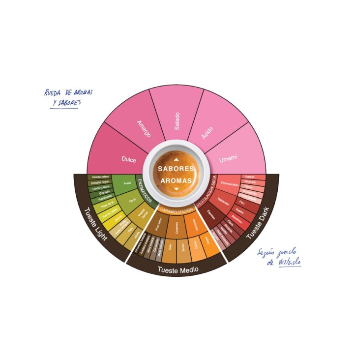 Kit Sommelier de Cata per Cafè Espresso Saula